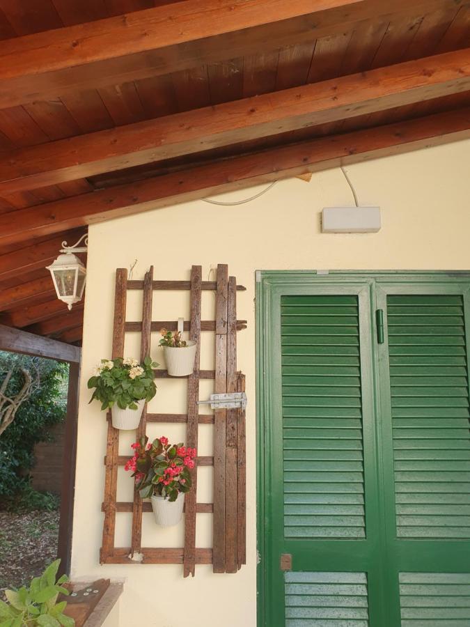 Andrea'S House Villa Фиумичино Екстериор снимка