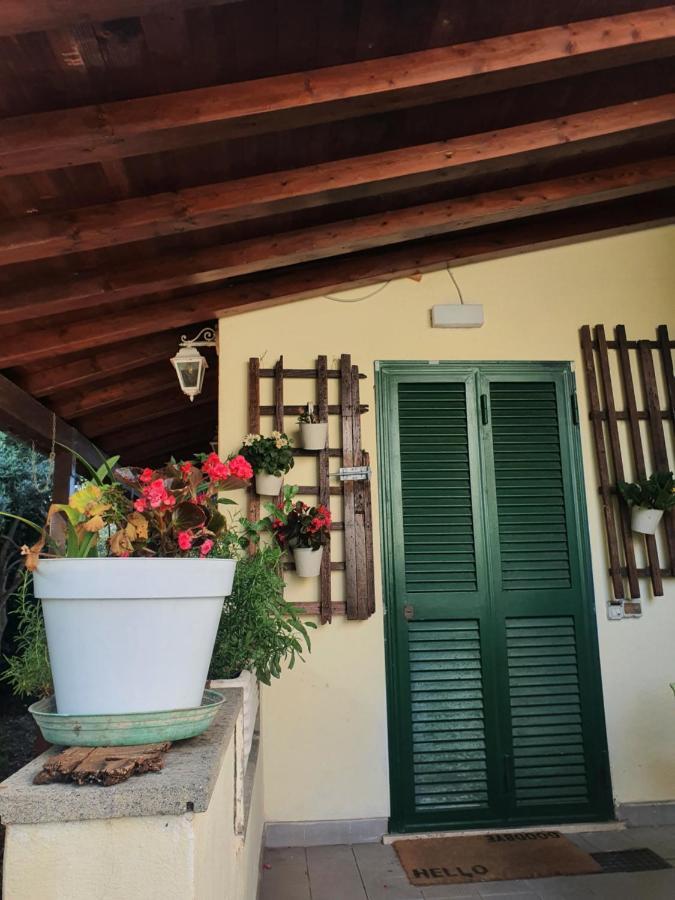 Andrea'S House Villa Фиумичино Екстериор снимка